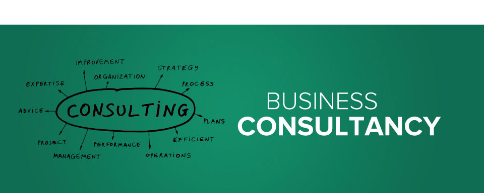 Why You Need a Business Consultant?